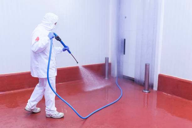 Best Patio and Deck Pressure Washing  in Susitna North, AK